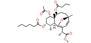 Briareolate ester N